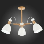 Потолочная люстра Evoluce Balcamo SLE103802-03 (220V)