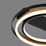 Потолочная люстра светодиодная Escada Lagom 10247/2LED 60Вт, с ПДУ, металл/акрил, чёрный/дерево (регулировка яркости, 220V, круглые)