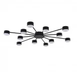 Потолочная люстра Lumion Torina 8344/12C черный, металл GX53 LED 12*7W 220V