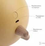 Ночник светодиодный с выключателем регулировкой яркости и зарядкой от USB ЭРА NLED-468-1W-Y