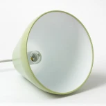 Подвесной светильник Lussole Jenkins LSP-7314 (220V, на проводе)