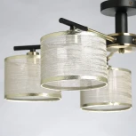 Потолочная люстра MW-Light Лацио 103013005