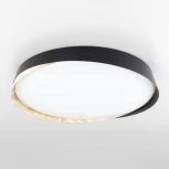 Потолочный светильник RGB круглый Citilux Bonny CL754451G Черный+Клен LED с пультом (220V, круглые)