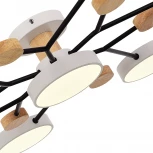 Потолочная люстра на штанге Evoluce Faema SLE6006-502-07 (LED, 220V, круглые)