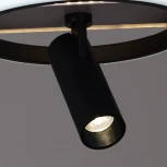 Потолочная люстра светодиодная с пультом Reluce 77804-3.3-2+2