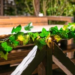 Садовая гирлянда на солнечной батарее «Плющ». 20 светодиодов, 1*АА Ni-Mh аккумулятор в/к. IP44 Uniel USL-S-135/PT2000 IVY