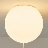 Потолочный светильник круглый Wasty A D13 ImperiumLoft Wasty01 (для детской, 220V, шар, животные)