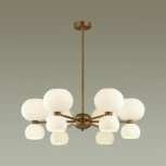 Потолочная люстра Odeon Light Changi 4979/12