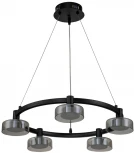 Подвесной светильник светодиодный Stilfort Gloze 4009/02/05P (220V, на тросе, круглые)