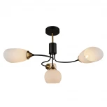 Потолочная люстра Imex MD.3862-4-S BK+CP