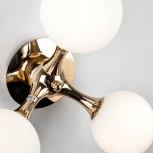 Бра Modelux MODESTYLE MS.6116.03 GD