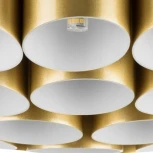 Потолочная люстра Lightstar Siena 720402 (220V, круглые)