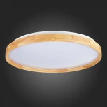 Потолочный светильник Evoluce Delia SLE201382-01