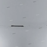 Лампочка светодиодная GU10 5W 400 lm 3000K Eglo Lm_led_gu10 11541