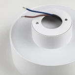 Накладной потолочный светильник Lightstar Acuto 215946 (LED, 220V, круглые)