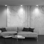 Встраиваемый светильник Pauline GU10 1x10Вт Maytoni Technical DL047-01W (220V, круглые)