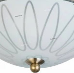 Потолочный светильник Toplight Paulina TL5050Y-02AB