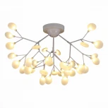 Потолочная люстра Evoluce Avola SLE250102-36