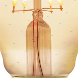 Лампочка светодиодная филаментная E27 4W 220V 320 lm 1700K Eglo Lm_led_e27 11692