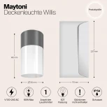 Уличный потолочный светильник Maytoni Willis O418CL-01GR