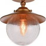 Потолочная люстра Favourite Farola 2027-1U