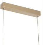 Подвесной светильник с гибким неоном Citilux Eva CL210112 (LED, 220V, на проводе)