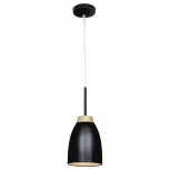 Подвесной светильник Loft It Watchman LOFT4402A-BL