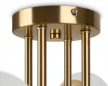 Потолочная люстра на штанге Damask FR5205PL-08BS (220V, шарики)