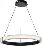 Подвесной светильник светодиодный Lightstar Rotonda 736267 (220V, на тросе, кольцо)