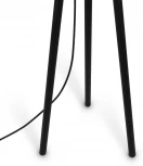 Торшер на треноге Maytoni Calvin Z177FL-01B (220V, выключатель)