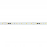 Светодиодная лента IC-A60-8mm 24V Day4000 (4.8 W/m, IP20, 2835, 10m) (Arlight, стабилизированная) 037956