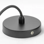 Подвесной светильник Lussole Loft Hauppauge LSP-9862 (220V, на проводе, IP21)