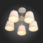 Потолочная люстра ST Luce Passeto SL375.502.05