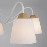 Потолочная люстра Eurosvet Betty 70062/5 белый (220V)