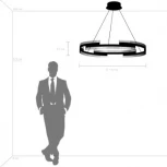 Подвесной светильник Lightstar Rotonda 736333 (LED, 220V, на тросе, круглые)