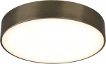 Потолочный светильник круглый Aployt Evon APL.0114.29.24 (LED, 220V, круглые)