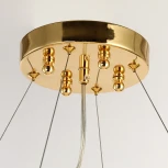 Подвесная люстра Favourite Inventio 2754-10P