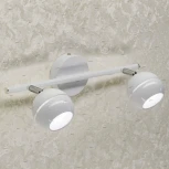 Спот Citilux Раймонд CL555520