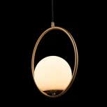 Подвесной светильник Loft IT Glob LOFT2600-A (220V, на проводе, шар, кольцо)
