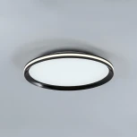 Потолочный светильник светодиодный с пультом с регулировкой цветовой температуры LED4U LED4U L3020-400 BK