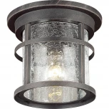 Потолочный светильник уличный Odeon Light Virta 4044/1C (220V, IP44)