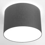 Потолочный светильник круглый Nowodvorski Cameron 9683 (220V)