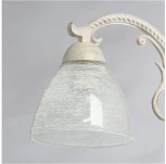 Потолочная люстра MW-Light Ариадна 105010205