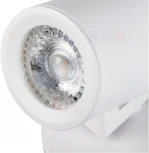 Спот Kanlux LAURIN 29122