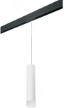 Трековый светильник однофазный 220V Lightstar Rullo PRORP49631 (круглые)