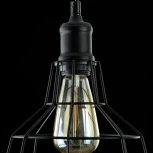 Подвесной светильник Maytoni Denver T448-PL-01-B