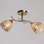 Потолочная люстра на штанге Reluce 03173-0.3-02 (220V)