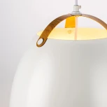 Подвесной светильник Lightstar Loft 765046 (220V, на проводе)