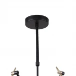 Потолочная люстра F-Promo Eget 2197-5U (220V)