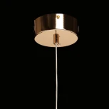 Подвесной светильник De City Оскар 510014701 (LED, 220V, на проводе, цветы)